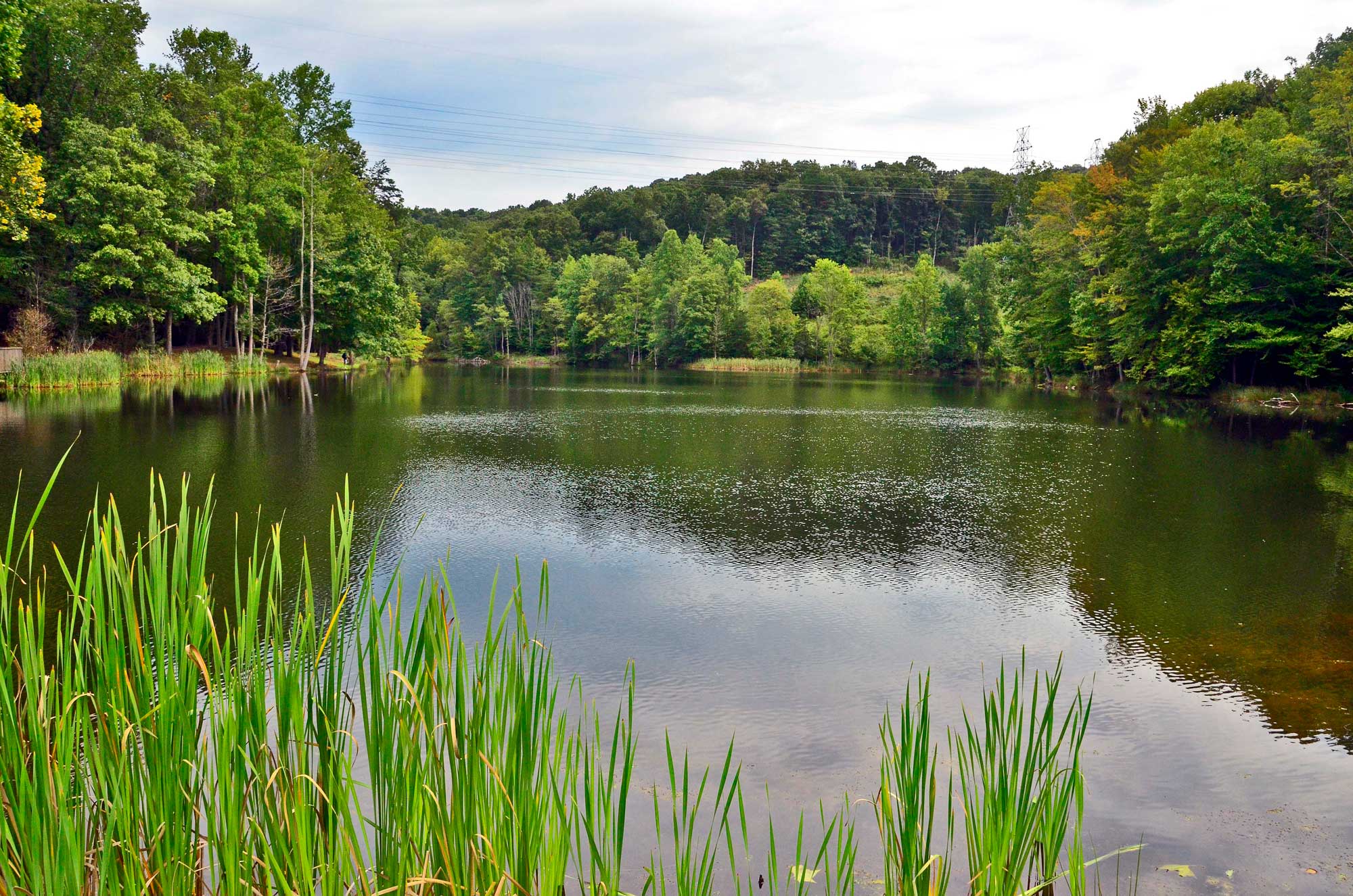 CWV | Ridenour Memorial Park & Lake | Charleston WV