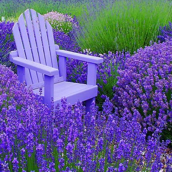 CWV Stadler Greenhouse & Garden Center Charleston WV