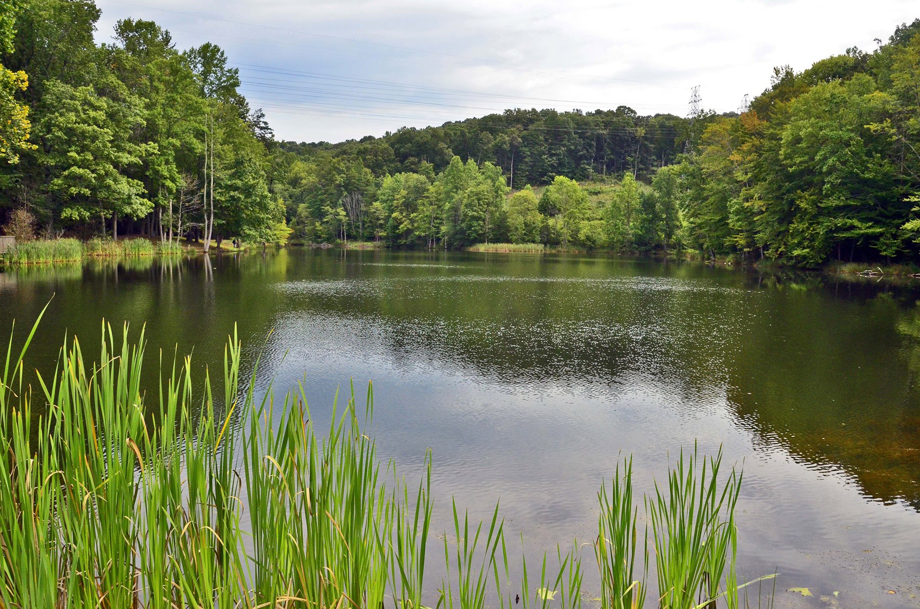 CWV | Laura Anderson Dam | Charleston WV