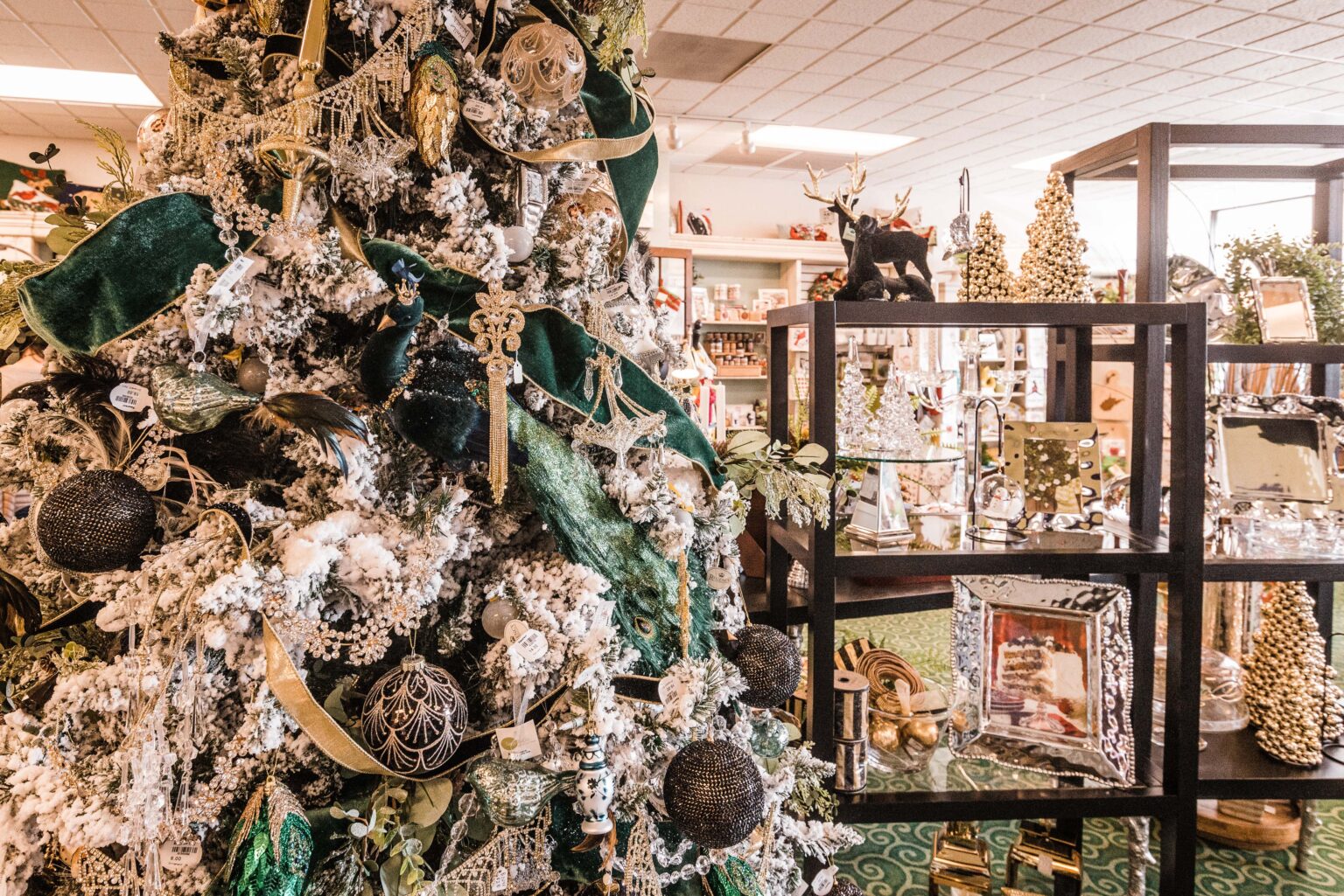 CWV Charleston, West Virginia Events, Hotels & Things To Do